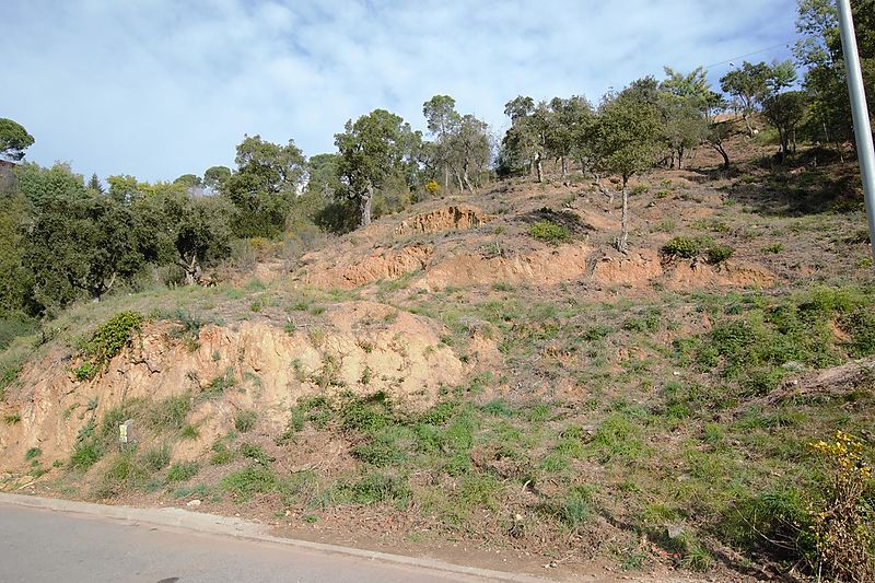 Terrain avec beaucoup de soleil