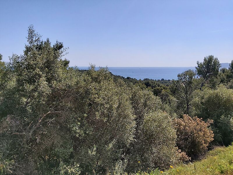Unique and exclusive front line plots with spectacular sea views in LLançà.
