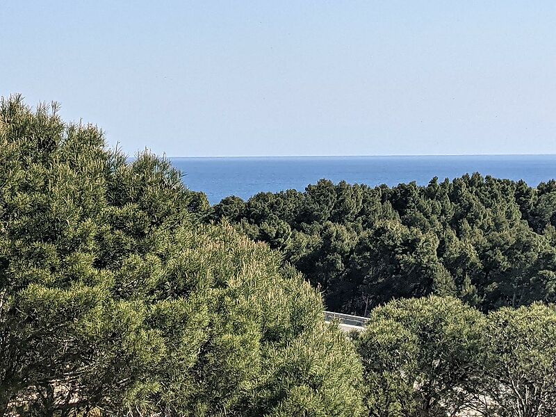 Únicas y exclusivas parcelas a primera línea con espectaculares vistas al mar en LLançà.
