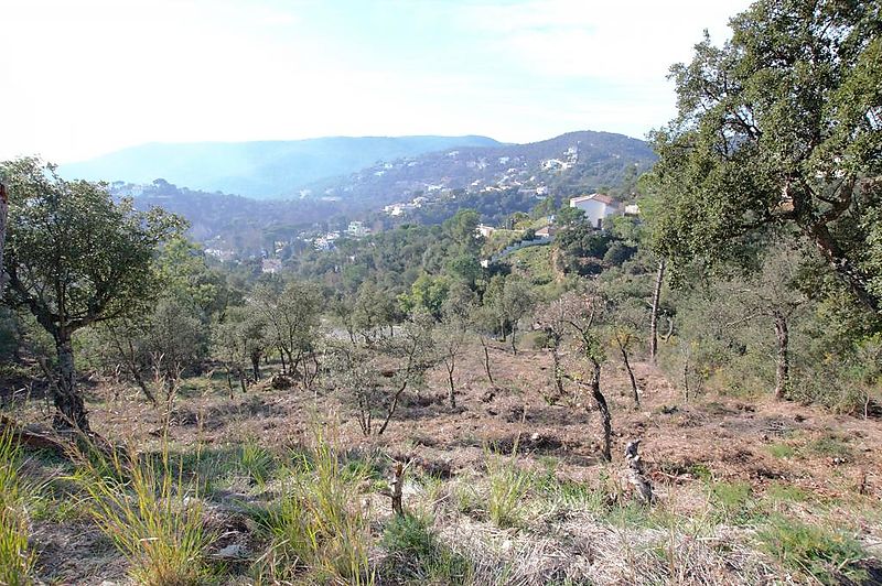 Terrain avec beaucoup de possibilités, grande surface. Idéal pour construire une maison sur plusieurs niveaux avec de grandes terrasses et une vue sur