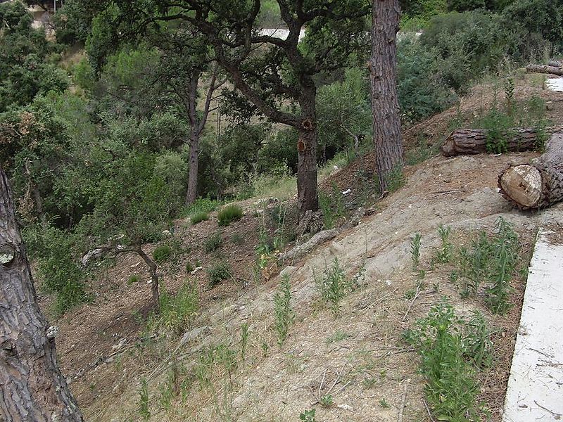 Terrain avec beaucoup de possibilités, grande surface. Idéal pour construire une maison sur plusieurs niveaux avec de grandes terrasses et une vue sur