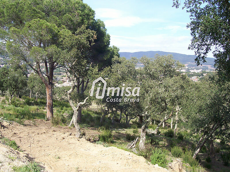PLOT of 8200 m² with the possibility of building a 600 m² house in a green area, just 5 minutes from the most beautiful beaches of the Costa Brava.