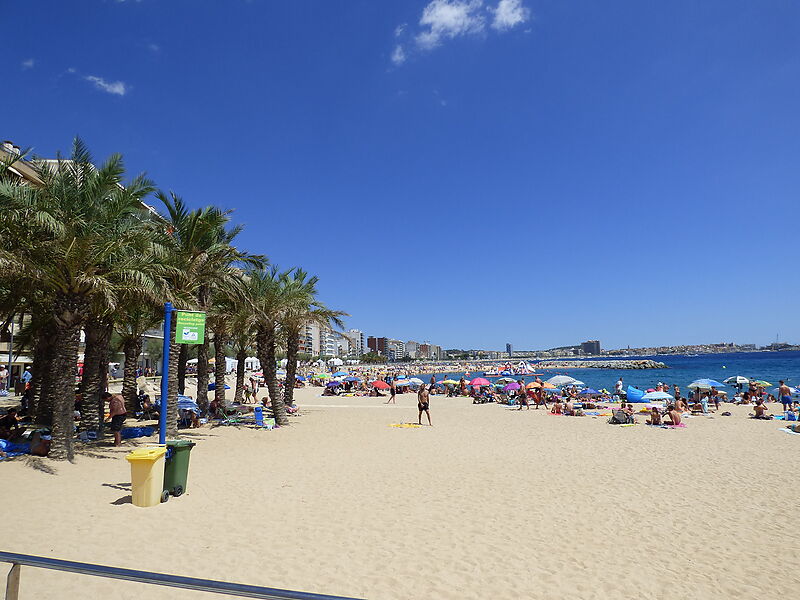 Terrain de 1790 m2. Spectaculaire vue sur la mer