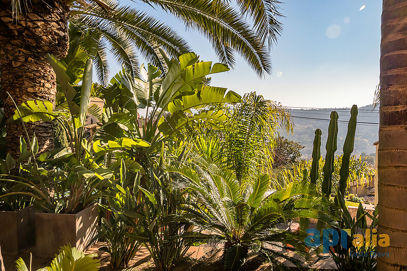 Maison de style colonial sur la Costa Brava, beau jardin et piscine