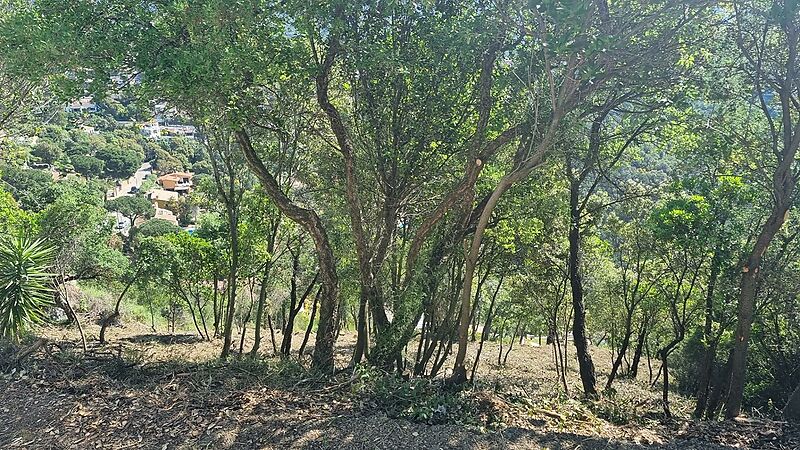 Parcela con vistas laterales al mar la urbanitzación Rio de Oro en Calonge