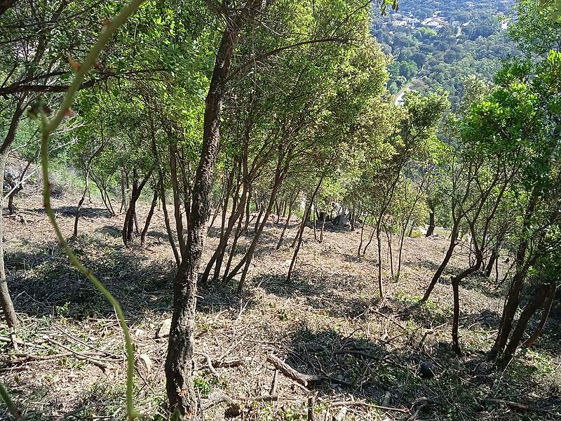 Parcela con vistas laterales al mar la urbanitzación Rio de Oro en Calonge