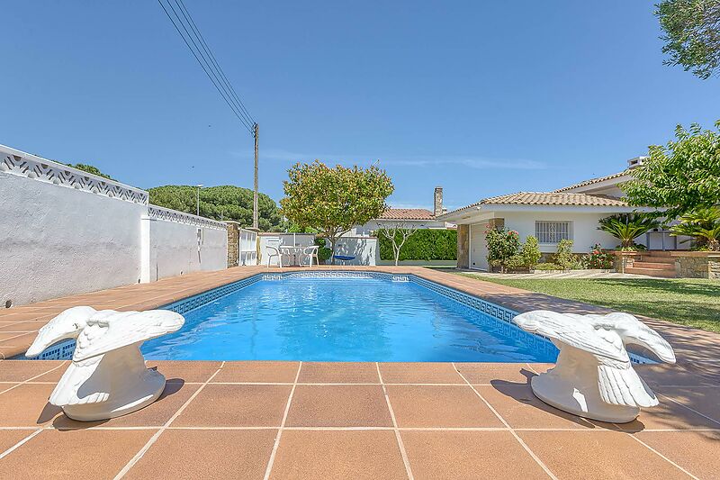 Are you looking for a great house with a pool ready to move into?