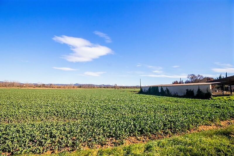 Spectacular and grandiose country house in Baix Empordà