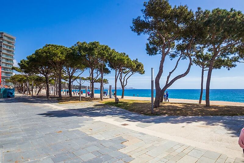 Obra Nueva frente al Mar en Playa de Aro