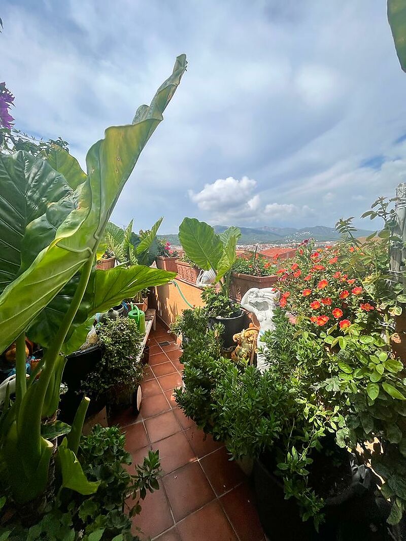 Casa adosada esquinera en venta