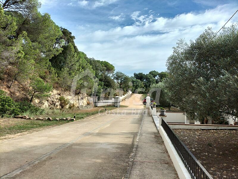 Ferme de 18 500 m2 avec trois maisons indépendantes, piscine et terrain de football