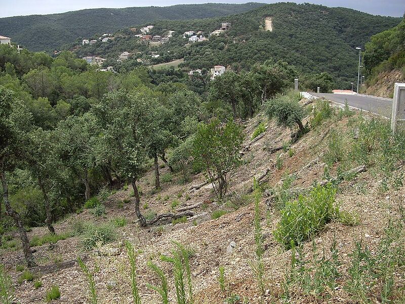 Terreny a la tranquilitat de la muntanya