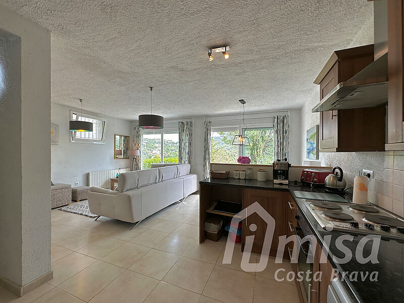 5 bedroom house with pool and independent apartment