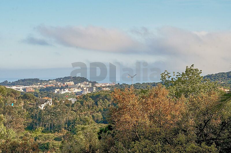 Vila amb gran potencial, 2.000 m  de parcel·la i espais sense límits a Los Pinares