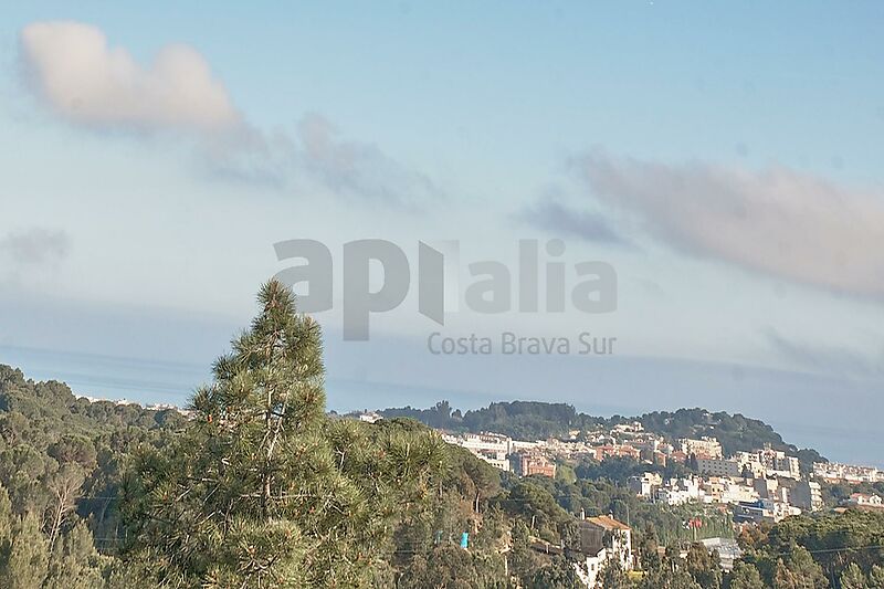 Vila amb gran potencial, 2.000 m  de parcel·la i espais sense límits a Los Pinares