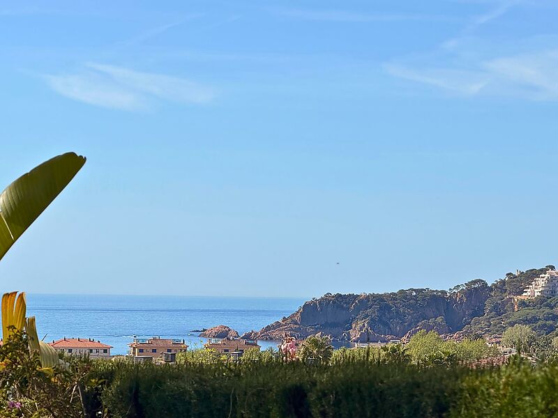 EXCLUSIVA APIALIA COSTA BRAVA