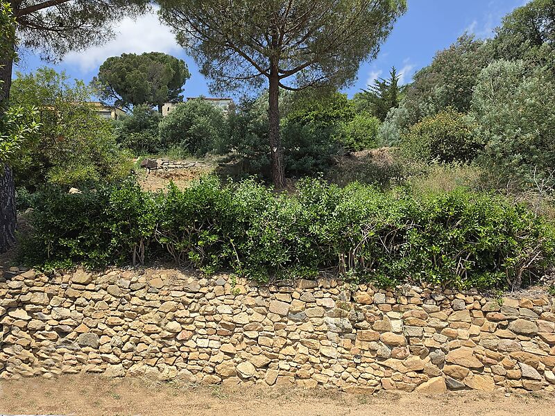 Parcel·la urbana de 852 m a Mas Ambrós (Calonge) amb vistes panoràmiques al mar.
