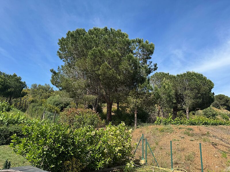 Exklusives Haus in einer idyllischen Wohnanlage im Alt Empordà