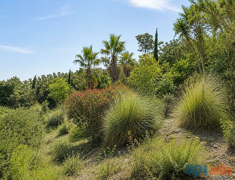 BUIDABLE PLOT IN THE PRESTIGIOUS MAS NOU RESIDENTIAL DEVELOPMENT SEA VIEWS